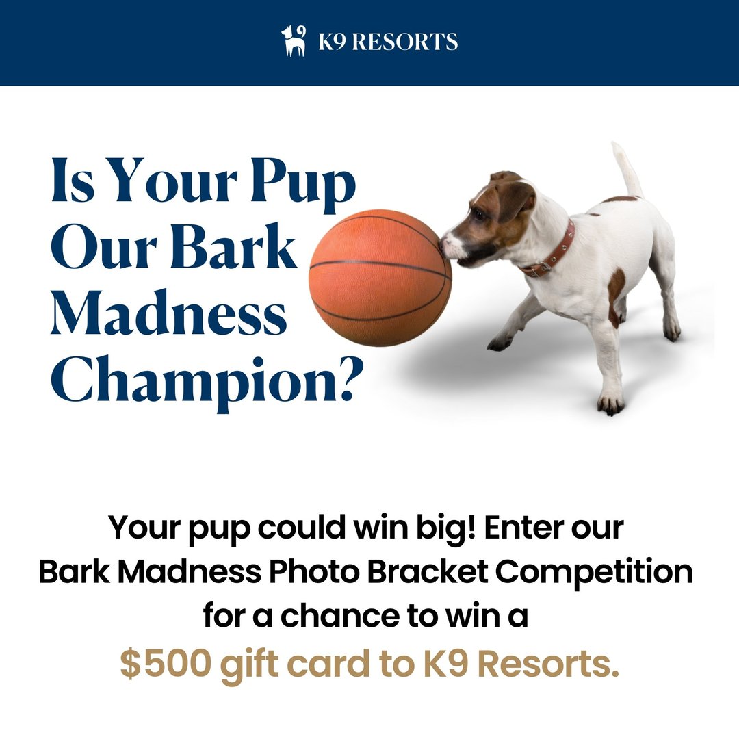 Bark Madness Bracket Competition