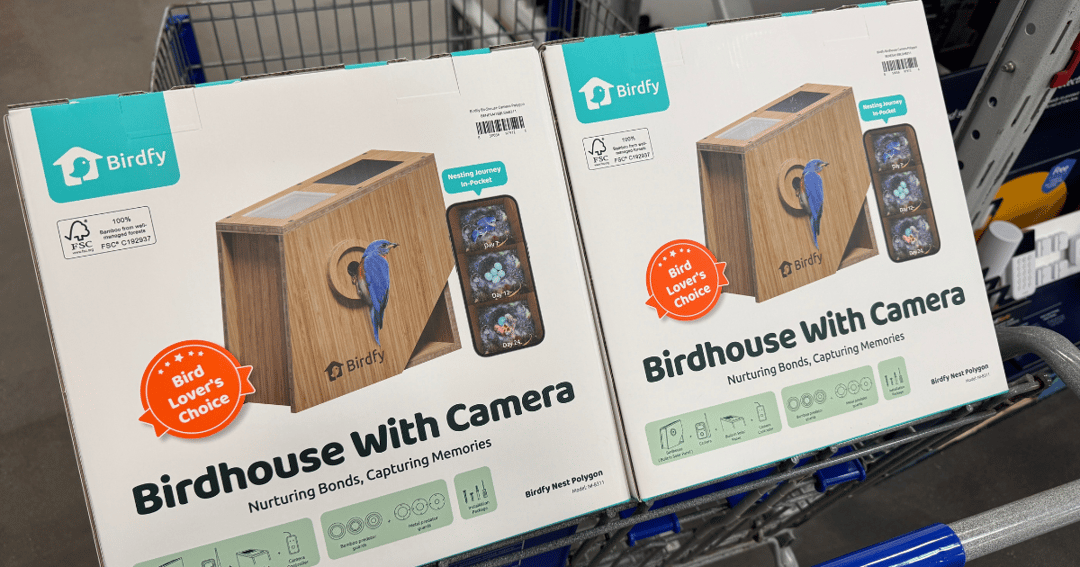Win a Birdfy Bird House from The Freebie Guy