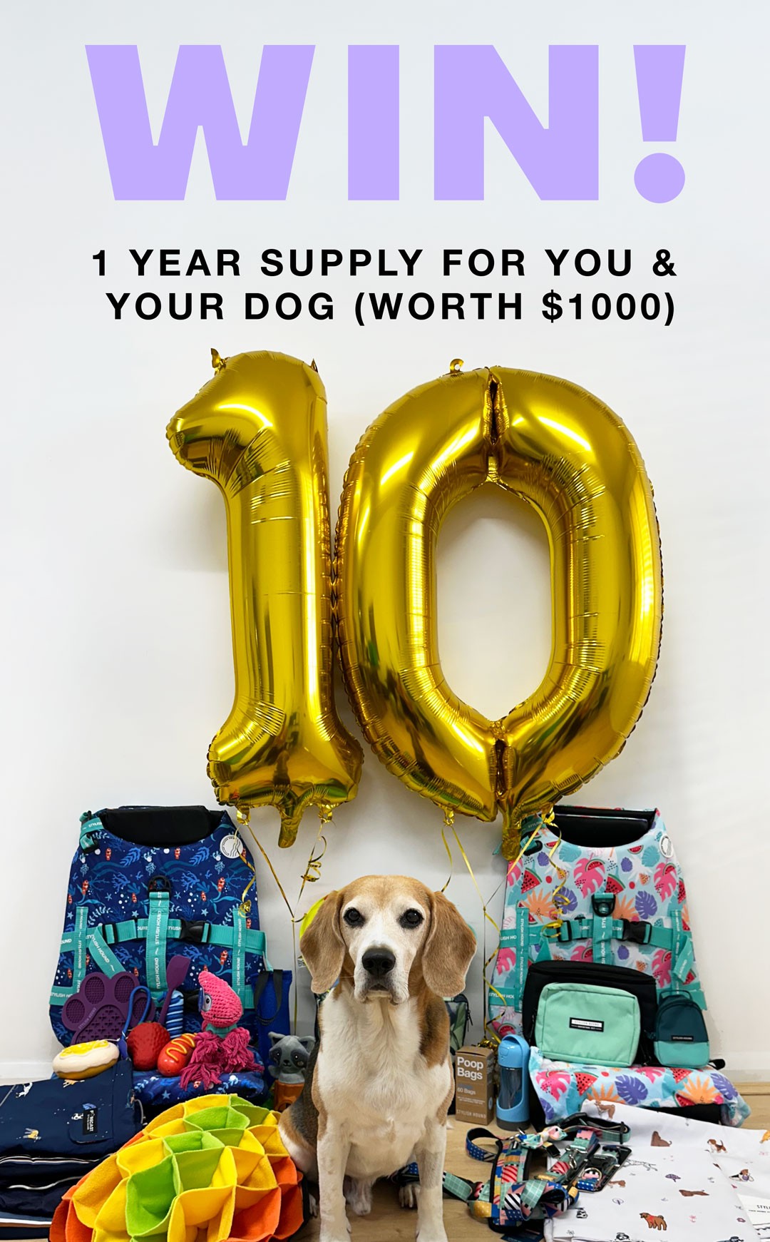 WIN A Year’s Supply For You & Your Dog!