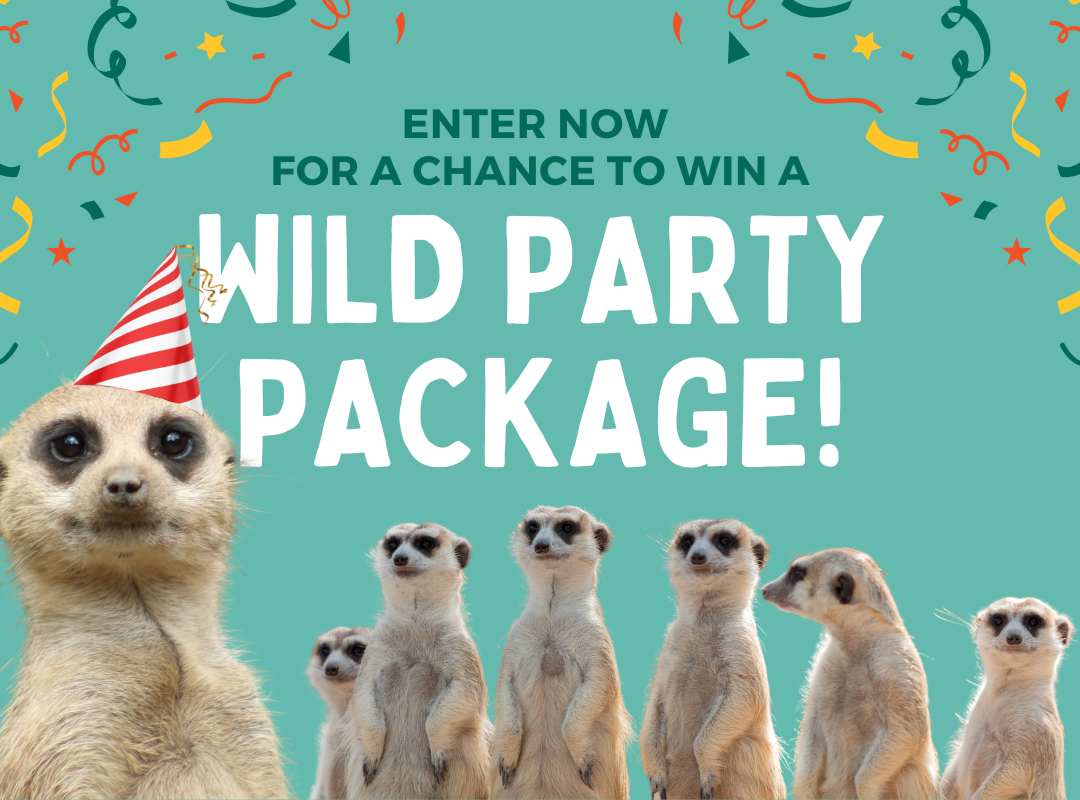 Win A WILD Party Package!